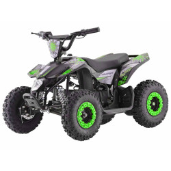 Mini Elektro Quad ECO Sport...