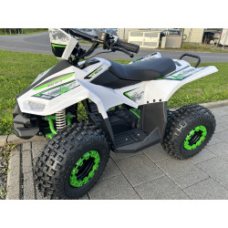 Elektro Quad 1200 Watt /...