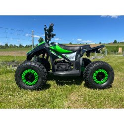 E- Quad 1000 Watt, Kinder...