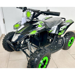 E- Quad 1000 Watt, Kinder...