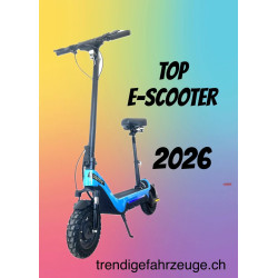 E- Scooter 500W Lithium App...