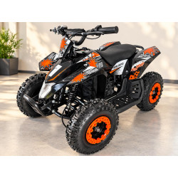 E- Quad 1000 Watt, Kinder...